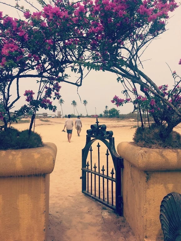 Photo of Life in the slow lan