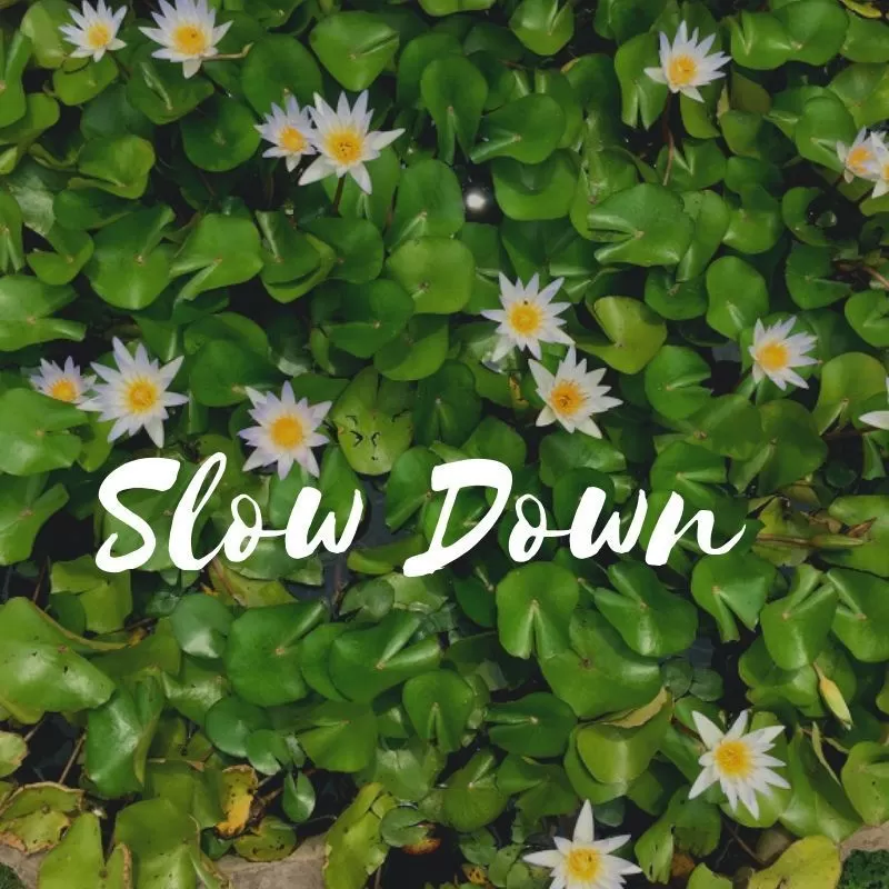 Photo of What is slow travel?