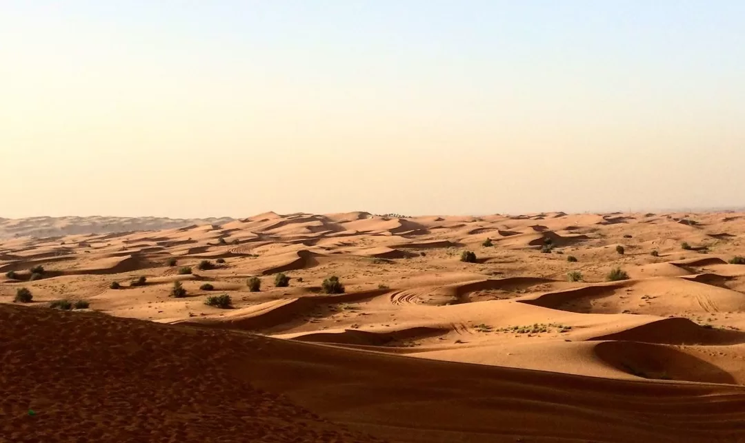 Photo of Dubai Calling