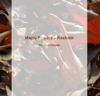 Photo of Maple Shades - Kashm