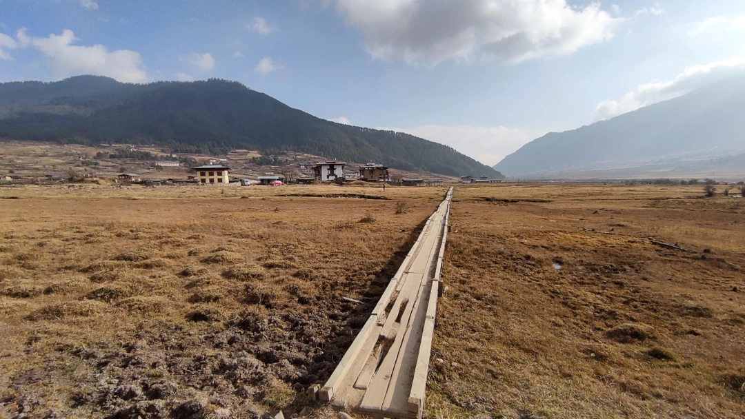 Photo of Exciting News: Inter