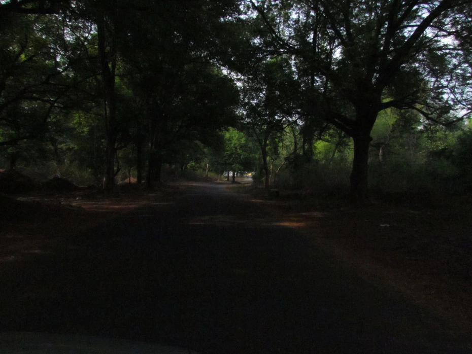 Photo of WoW Yercaud!