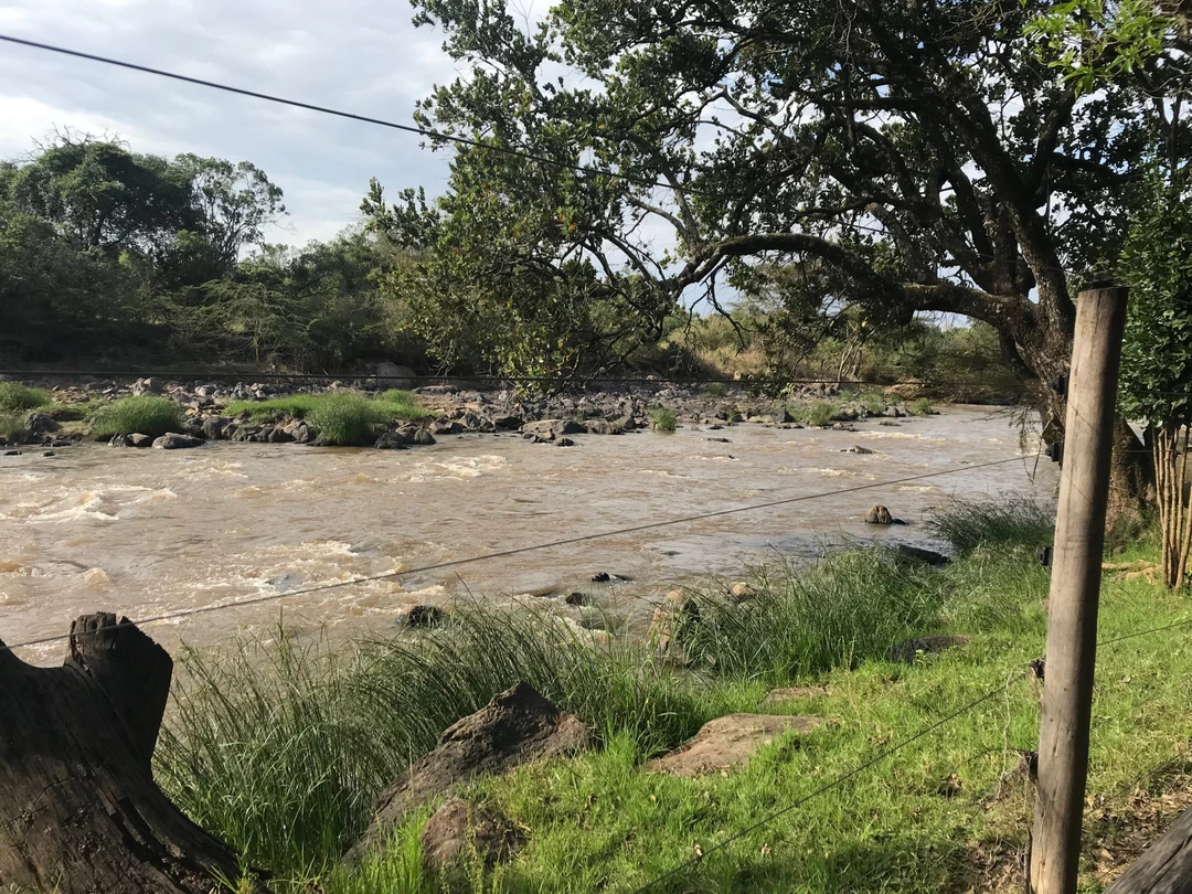 Photo of Kenya - Into the wil