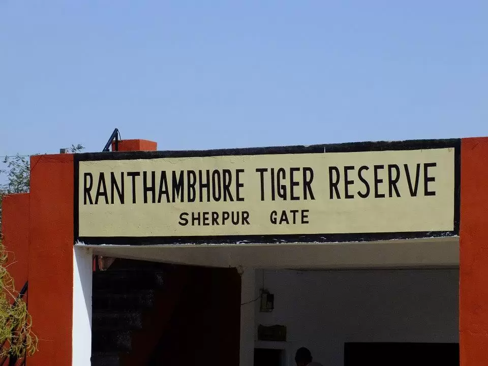 Photo of Royal Rajasthan