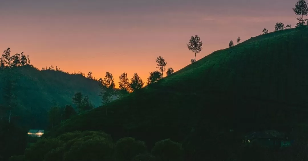 Photo of The Only Reason I Ke