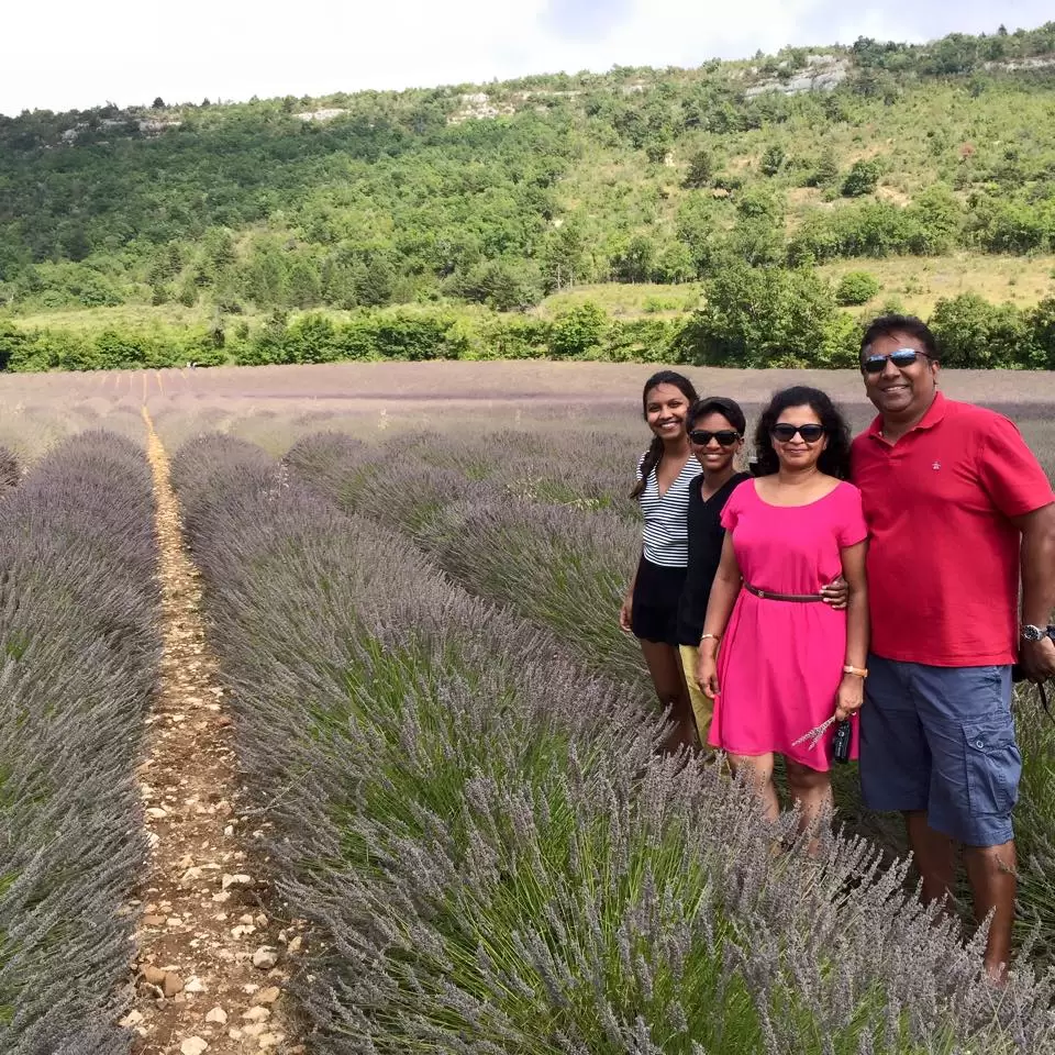 Photo of Chasing lavender in 