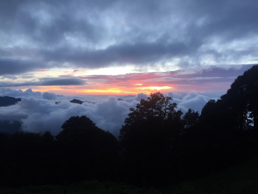 Photo of A Golden Ticket- the