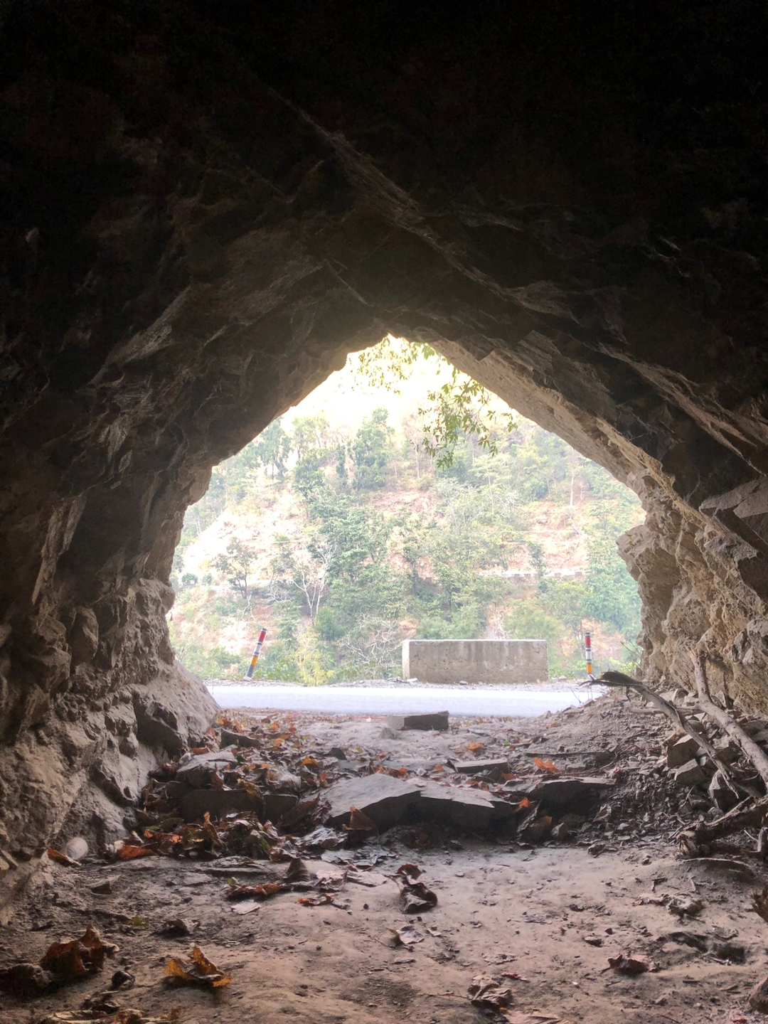 Photo of Rishikesh 2 Years