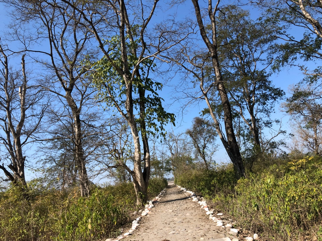 Photo of Best Trips From Rish