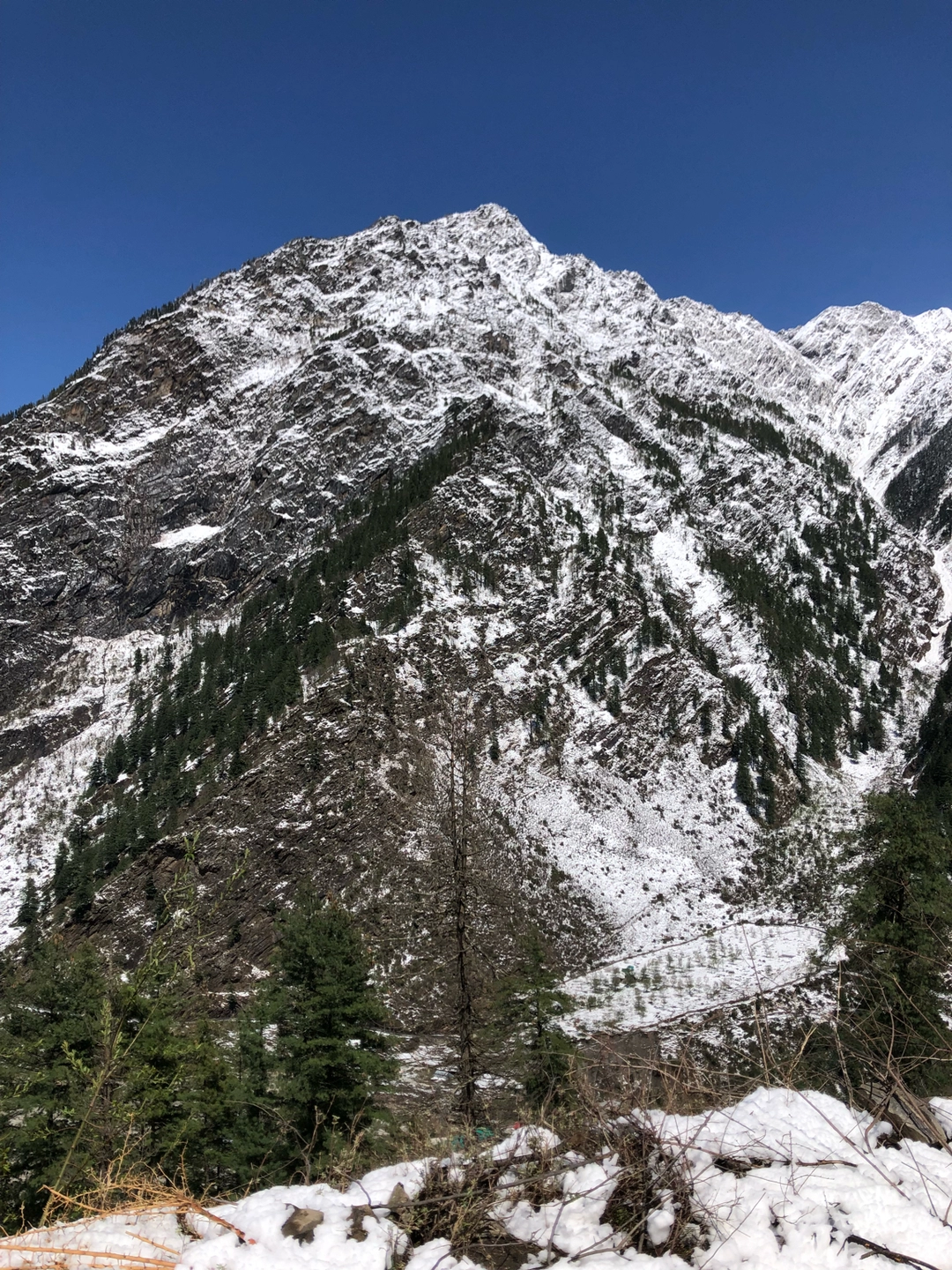 Photo of Harsil Uttrakashi- 