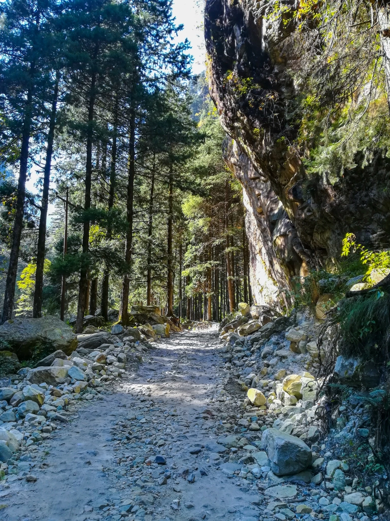 Photo of A Rebirth in the Tra