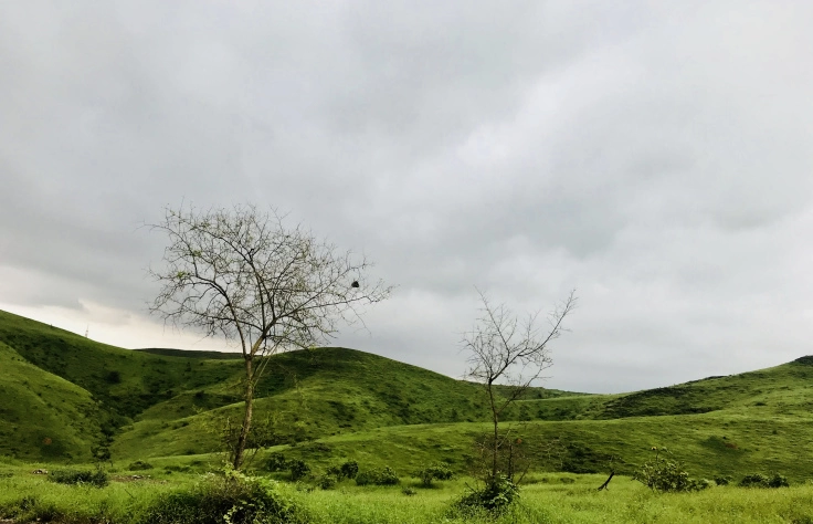 Photo of Road Trip To Salalah