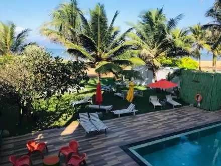 Photo of Things to do in Sri