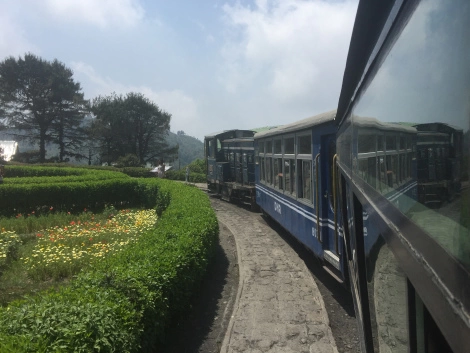 Photo of SIKKIM- A land of fl