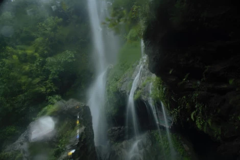 Photo of Being parents (Jambu