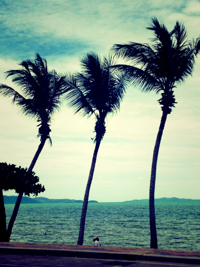 Photo of My seven point ode t