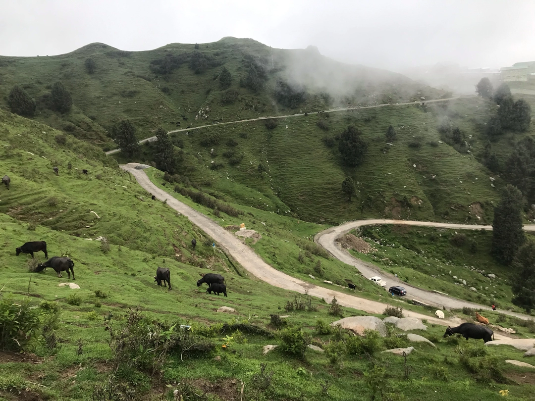 Photo of My Little Young Achi