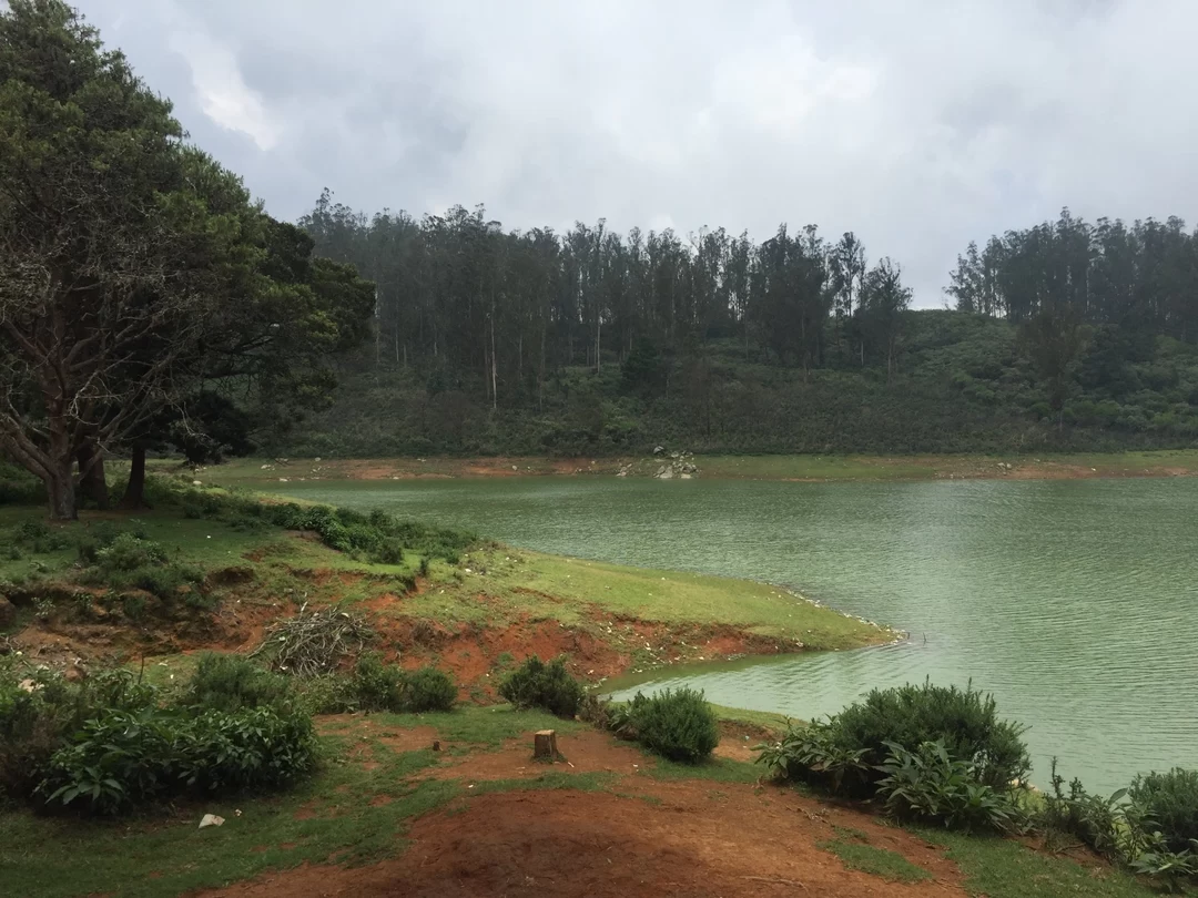 Photo of Monsoon magic at Pyk