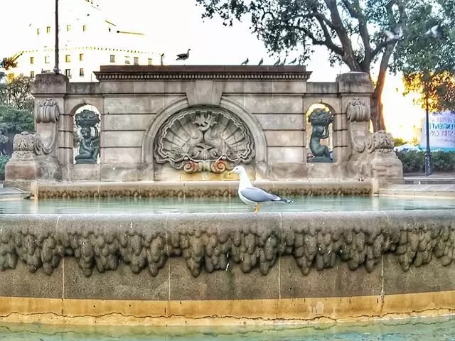 Photo of Quick guide to Barce