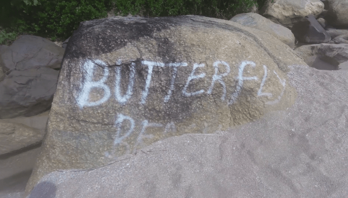 Photo of Skinny Dipping at Bu