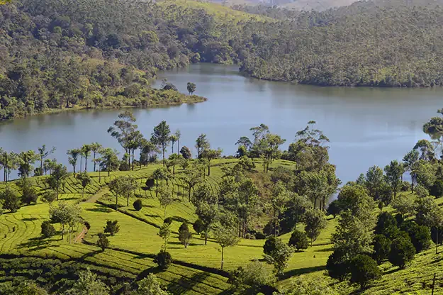 Photo of Visiting Thekkady?
