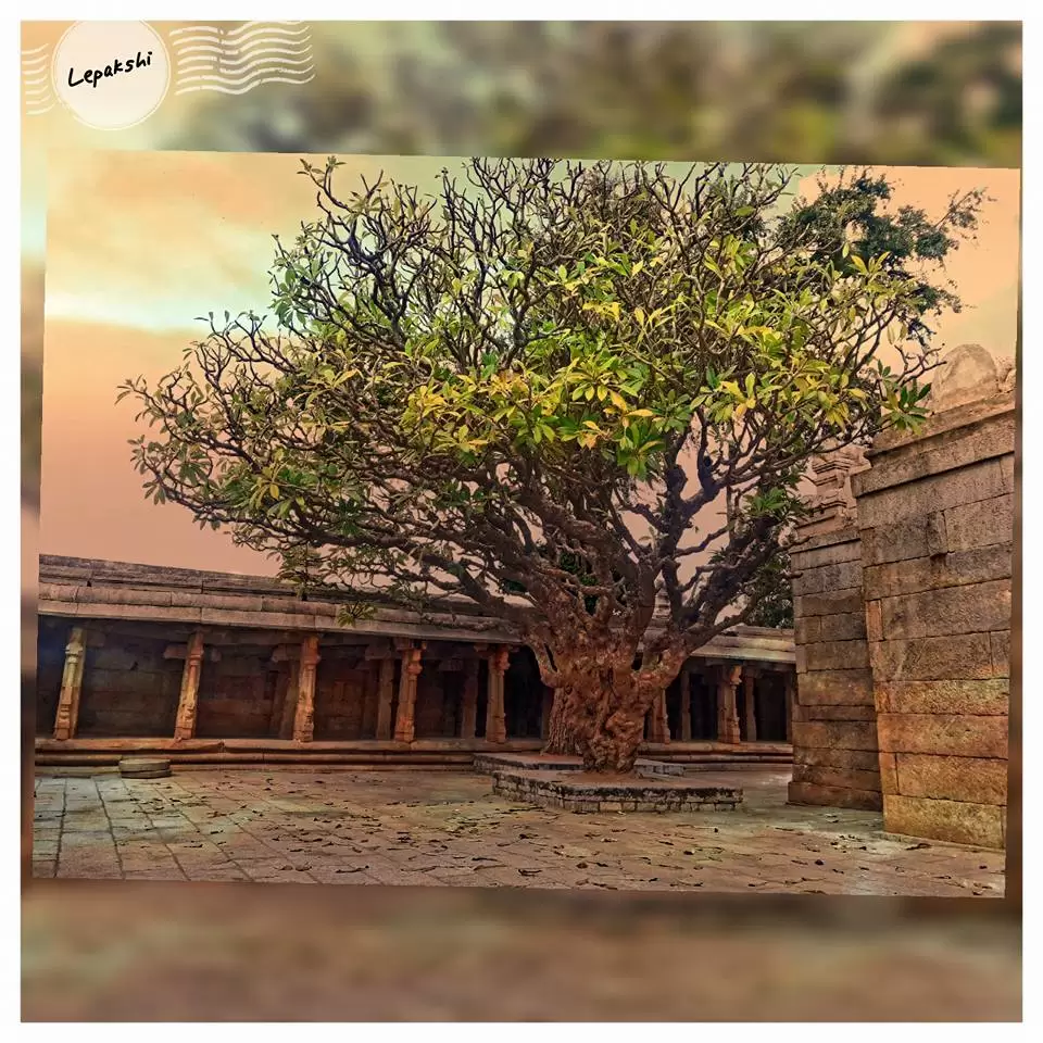 Photo of Lepakshi- One Day Tr