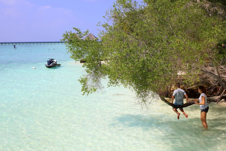 Photo of Destination Focus