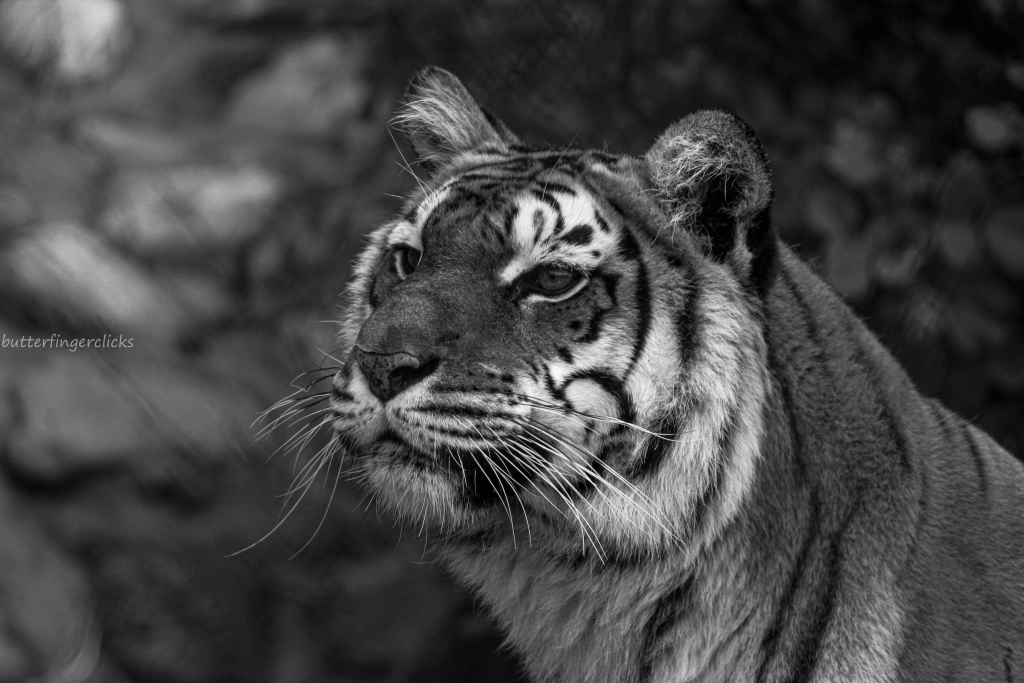 Photo of It is OKAY to not se