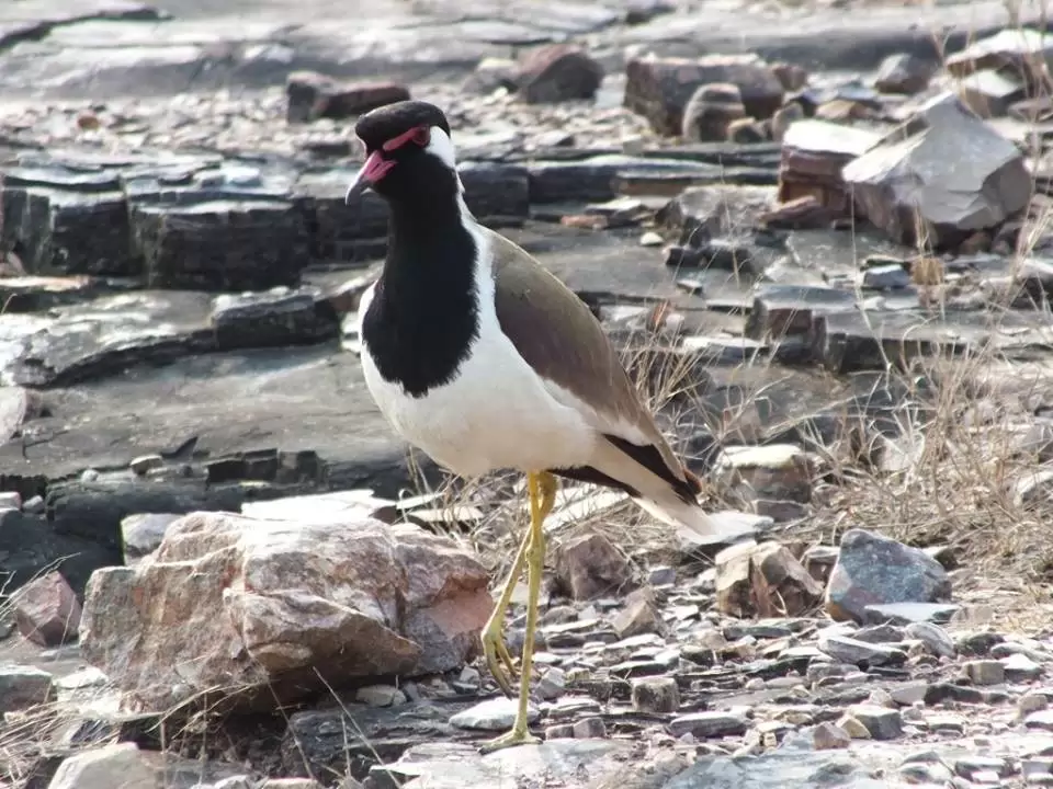 Photo of Ride to Sawai Madhop