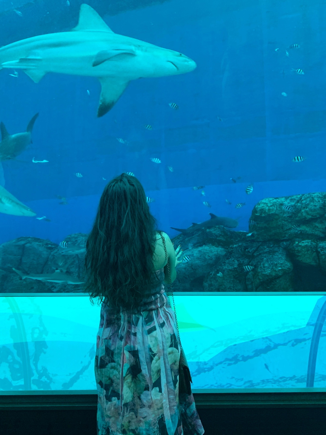 Photo of Sentosa Island Singa