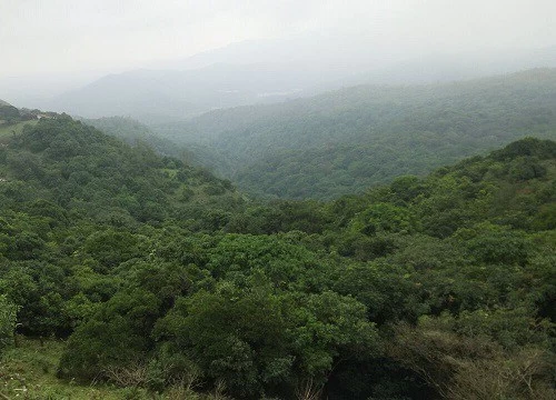 Photo of Coorg - The scenic h