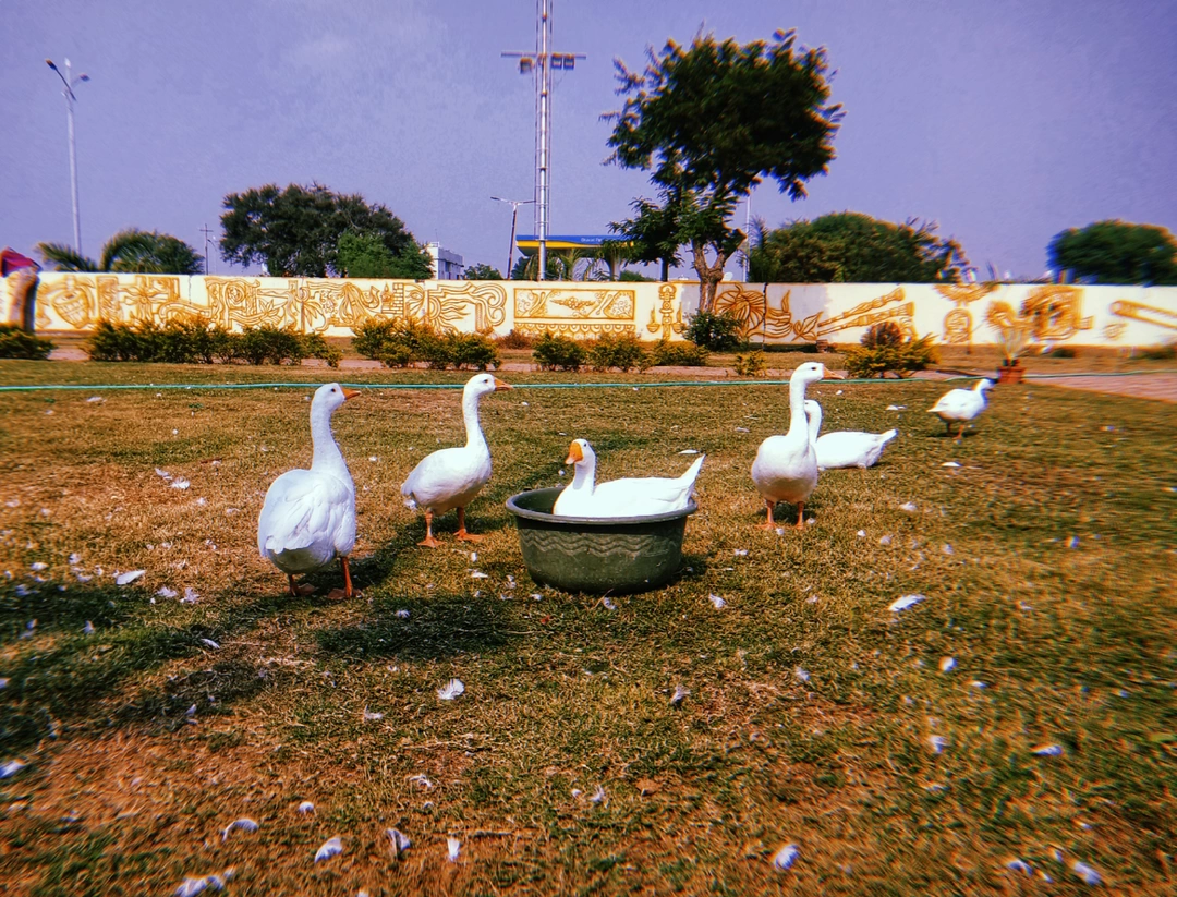 Photo of Routine, is it good