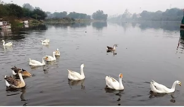 Photo of लखनऊ में गोमती नदी क