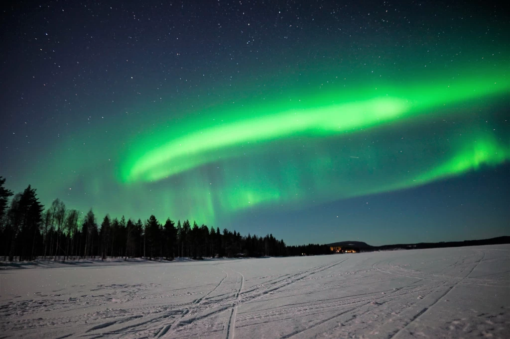 Photo of Manifesting Magic...