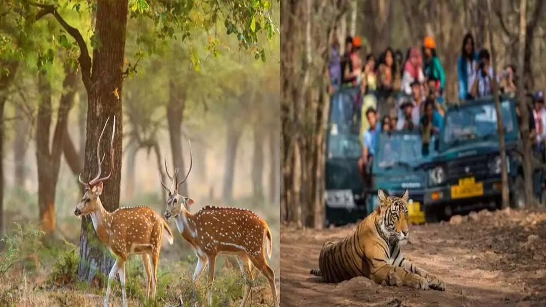 Photo of आईआरसीटीसी के खास पै