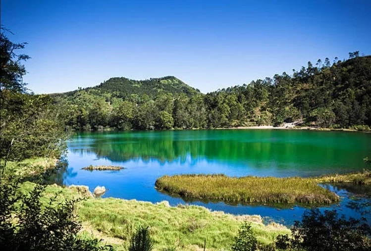 Photo of शहरी भीड़-भाड़ से दू