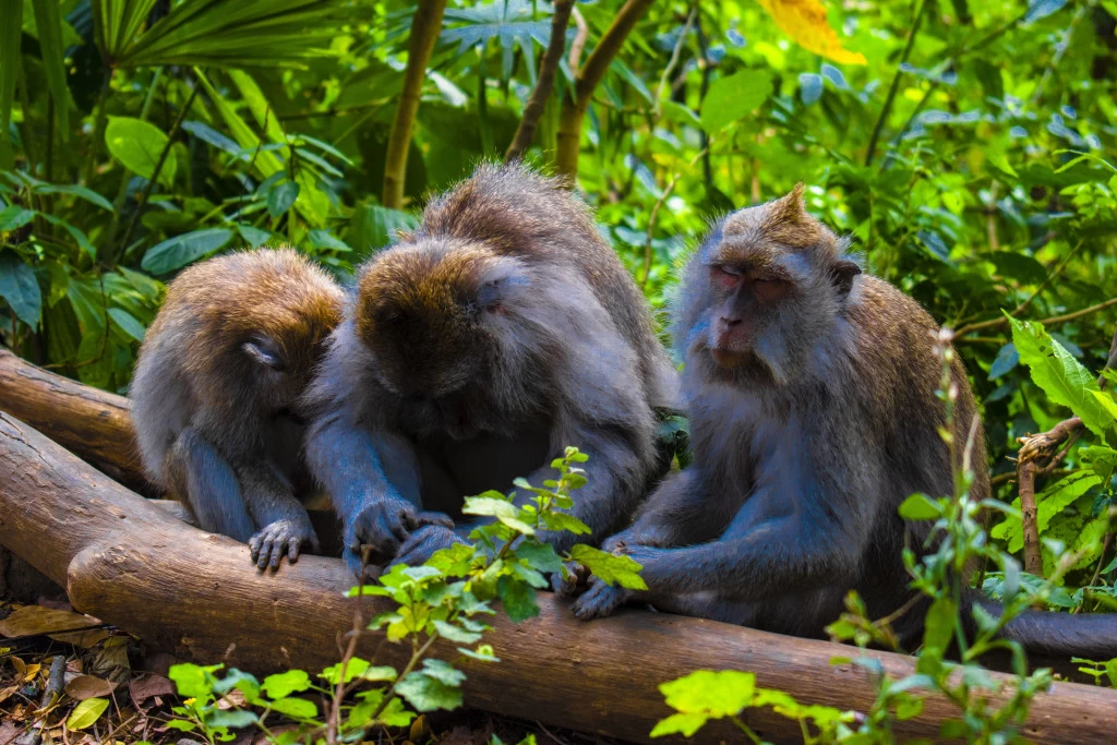 Photo of A dreamy vacation 💜