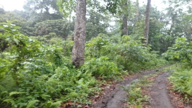 Photo of Explore the Prominen