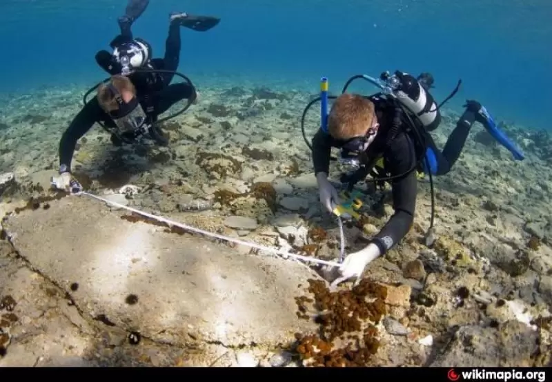 Photo of 6 Enchanting Underwa