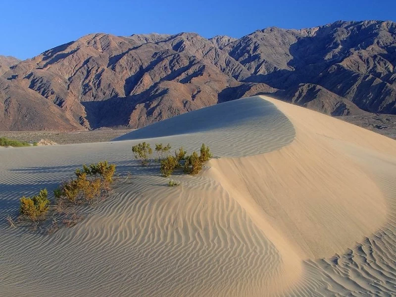 Photo of 8 Enchanting Deserts