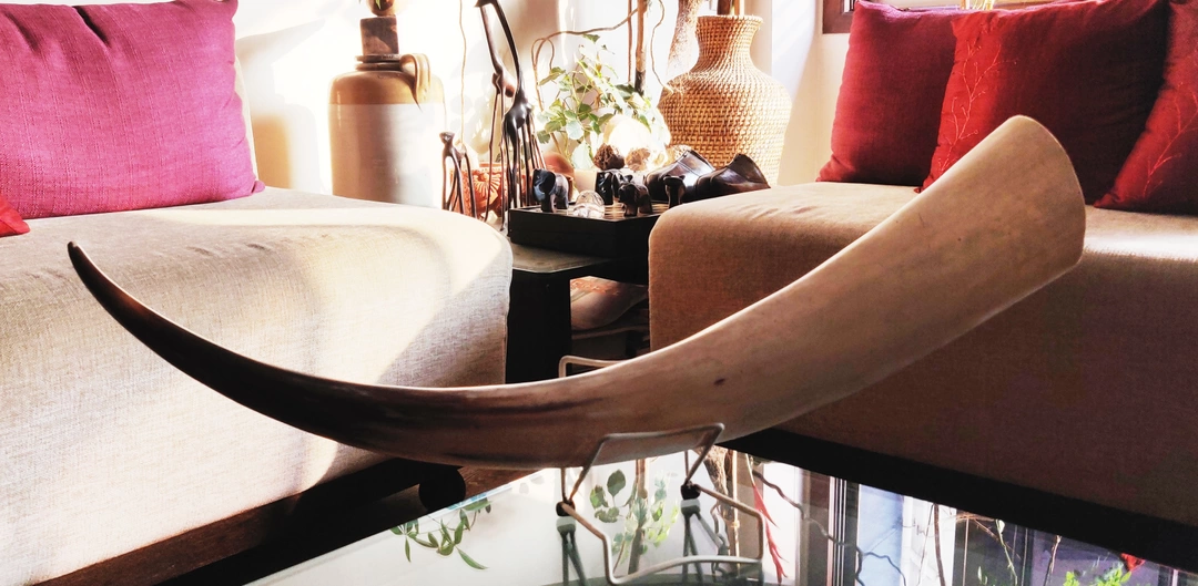 Photo of Kenyan Safari and Ou