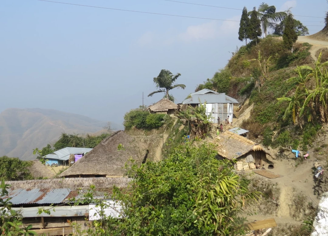 Photo of The Ancient Tattoois