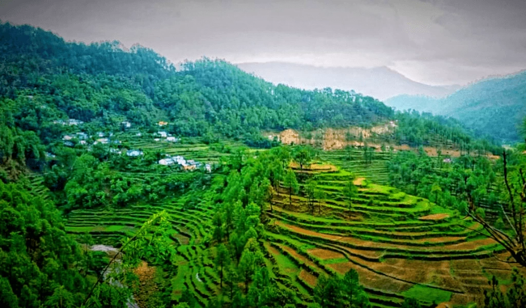 Photo of Dwarahat: The Lesser