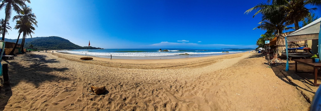 Photo of You Agonda, oh so qu