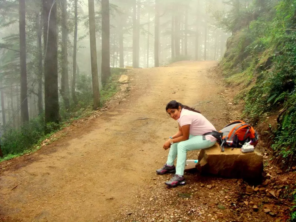 Photo of Triund - The Crown J