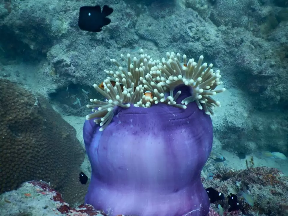 Photo of Exploring the Andama