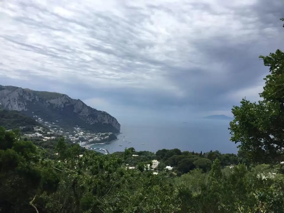 Photo of The Italian Adventur