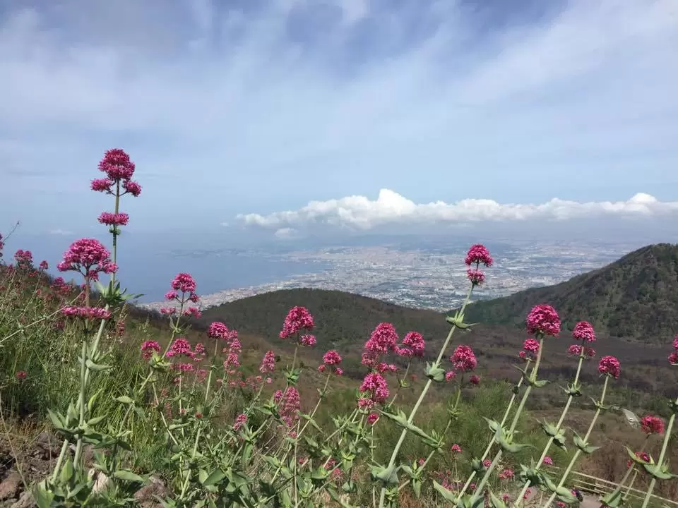 Photo of Pompeii and Mount Ve