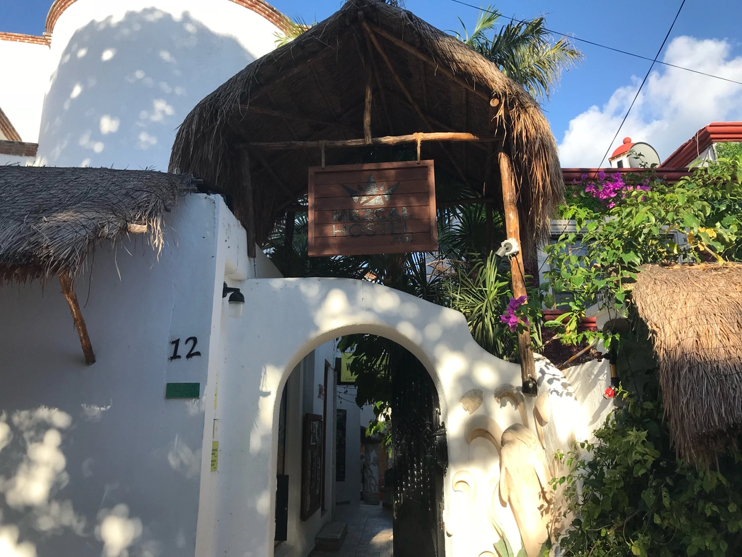 Photo of Cancun Craziness!