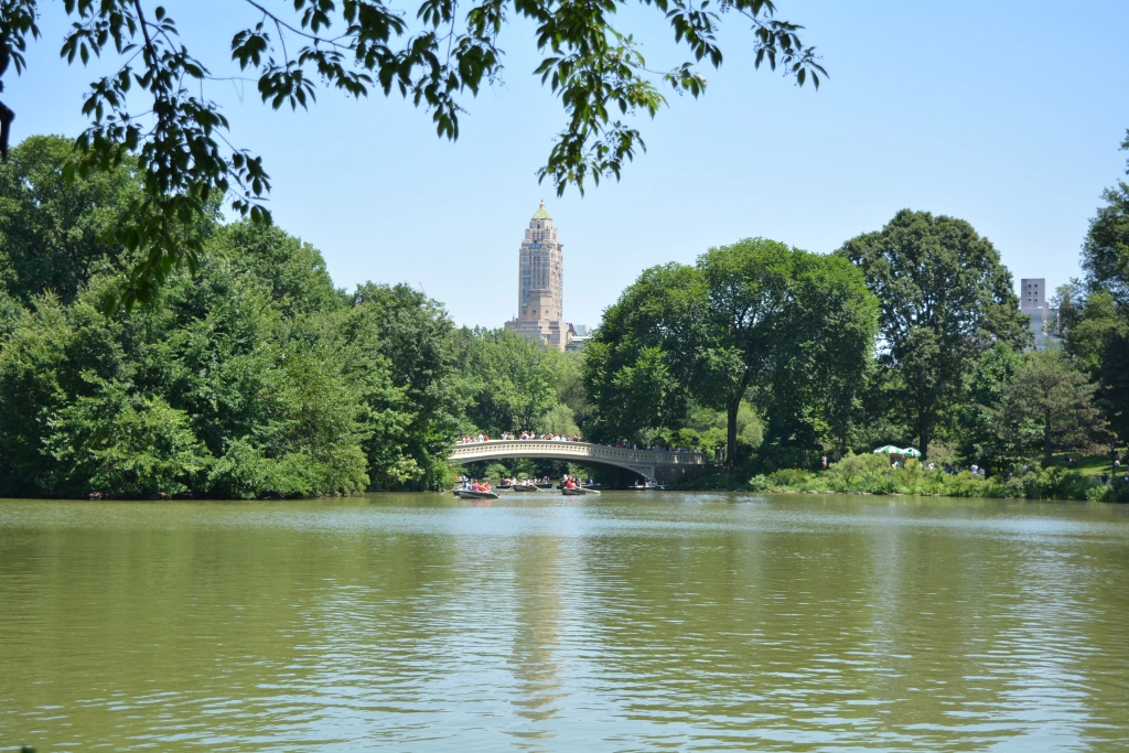 Photo of A day in New York an